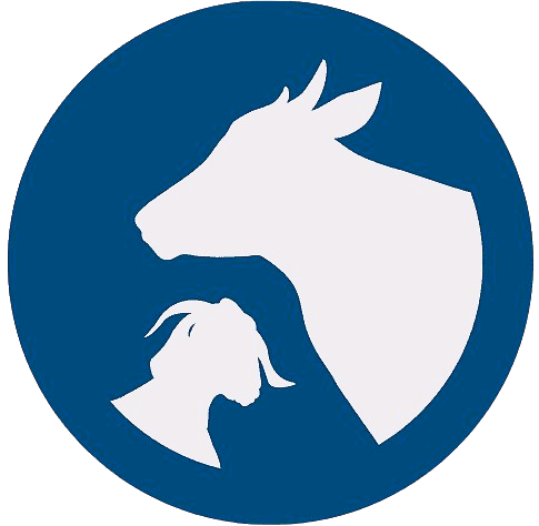 Animal Sciences & Biotechnology